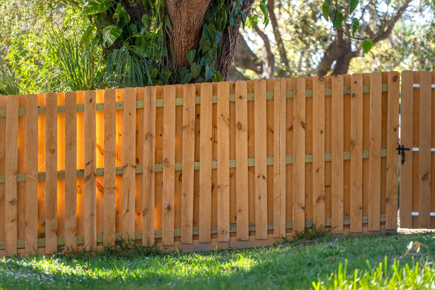 Wood Fence Mistakes That Florida Homeowners Should Avoid