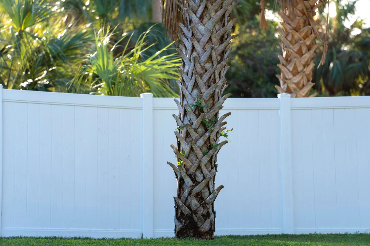 How to Choose the Right Fence for a Central Florida Home
