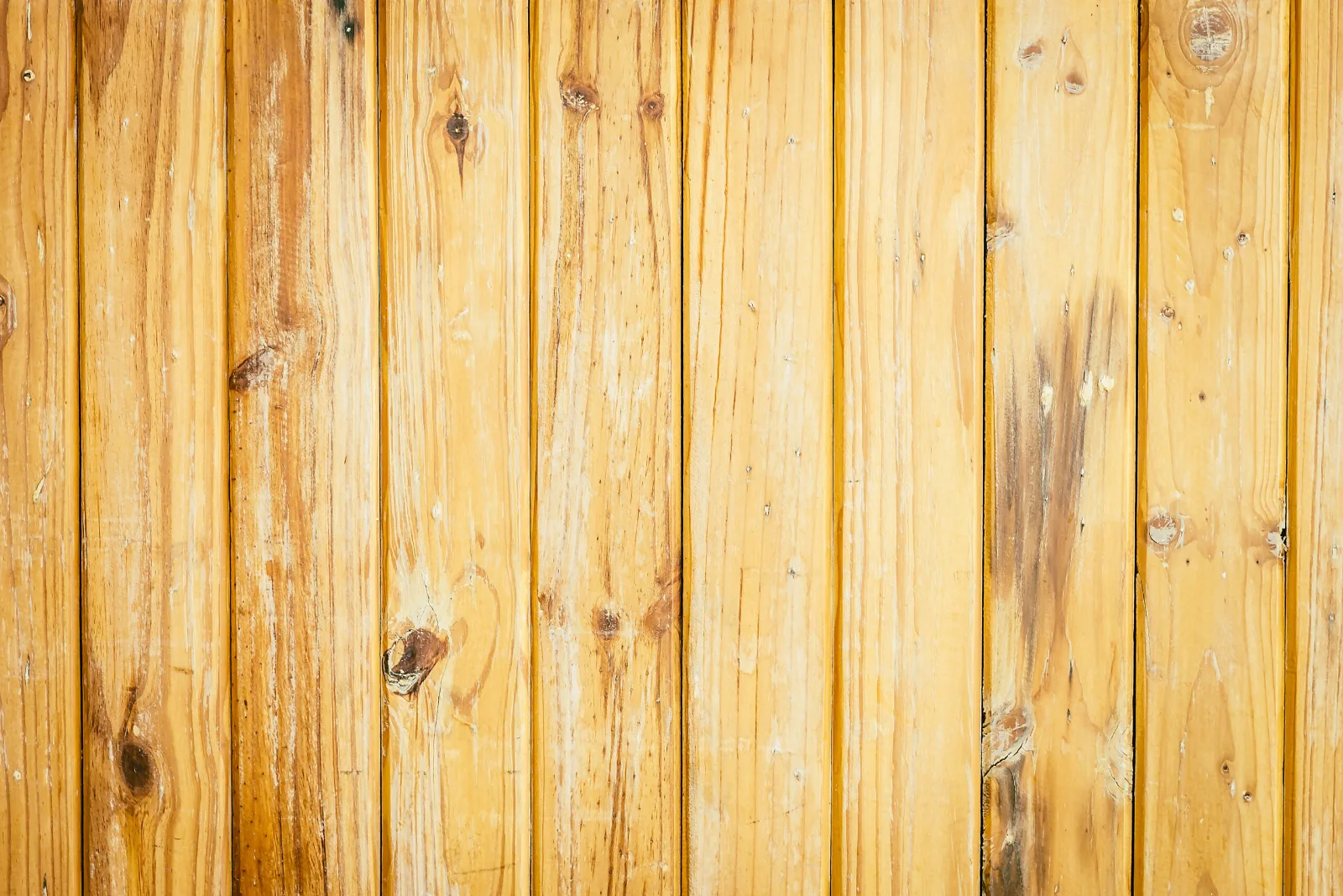 Choosing the Right Wood Fence for a Central Florida Home