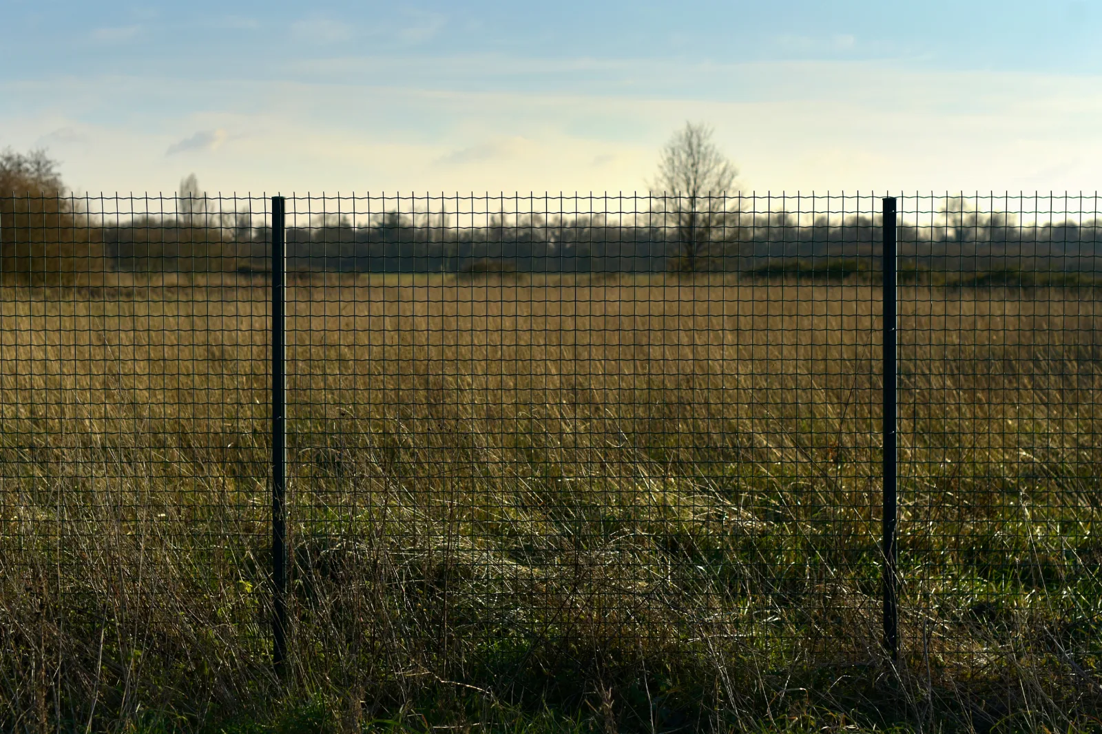 Benefits of Field Fencing for your Farm