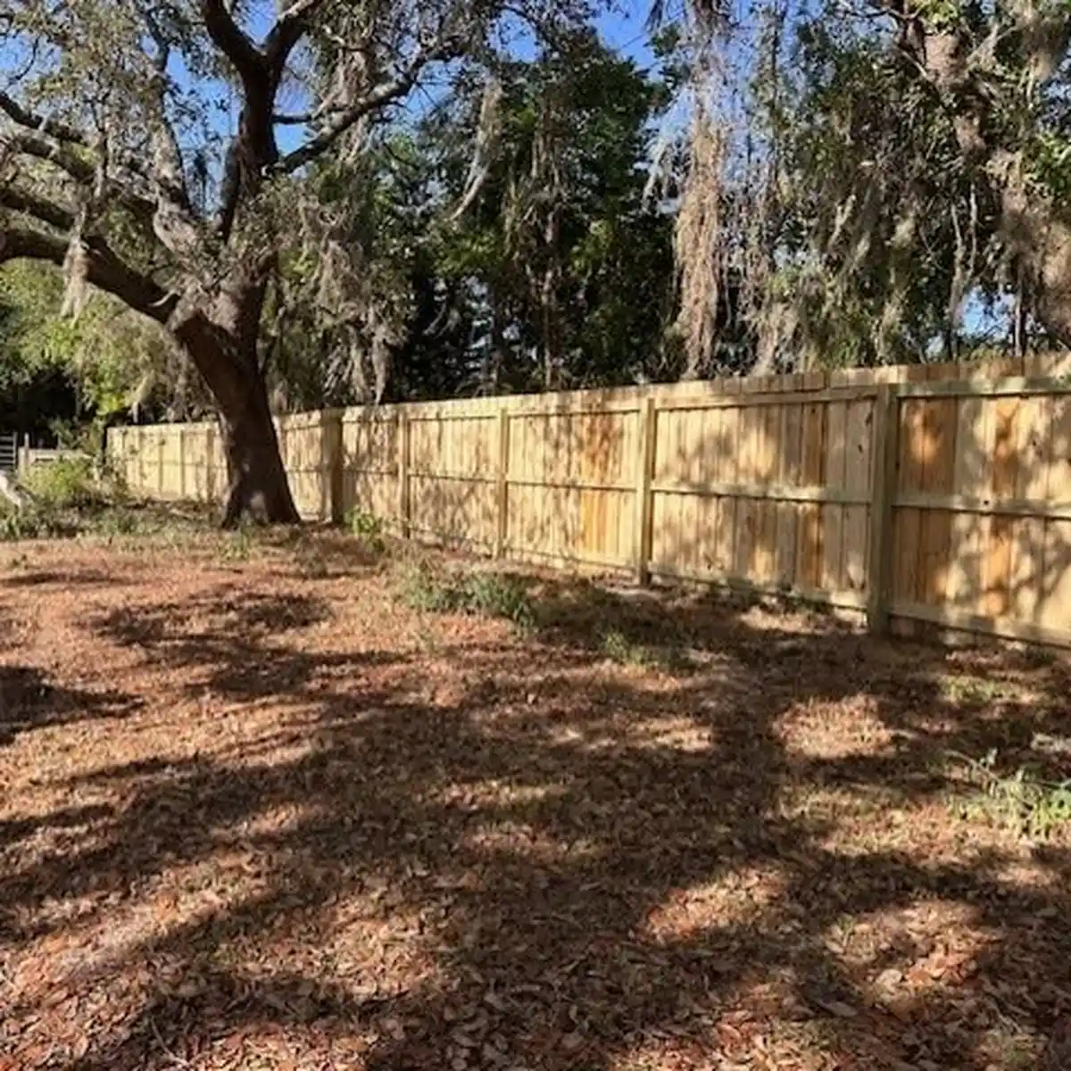 Six foot wood privacy fence running along a shaded Central Florida back yard